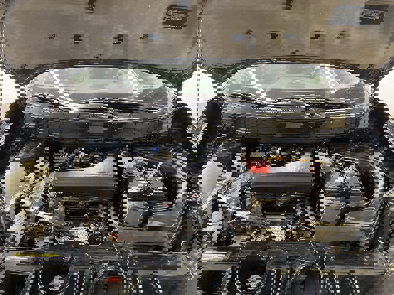 Used 2016 Nissan Rogue SL w/ SL Premium Package image 13