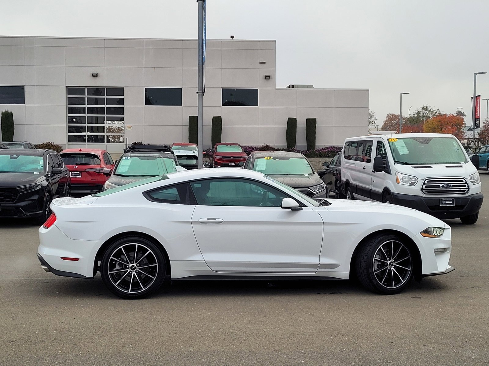Used 2022 Ford Mustang Premium w/ Wheel & Stripe Package image 4