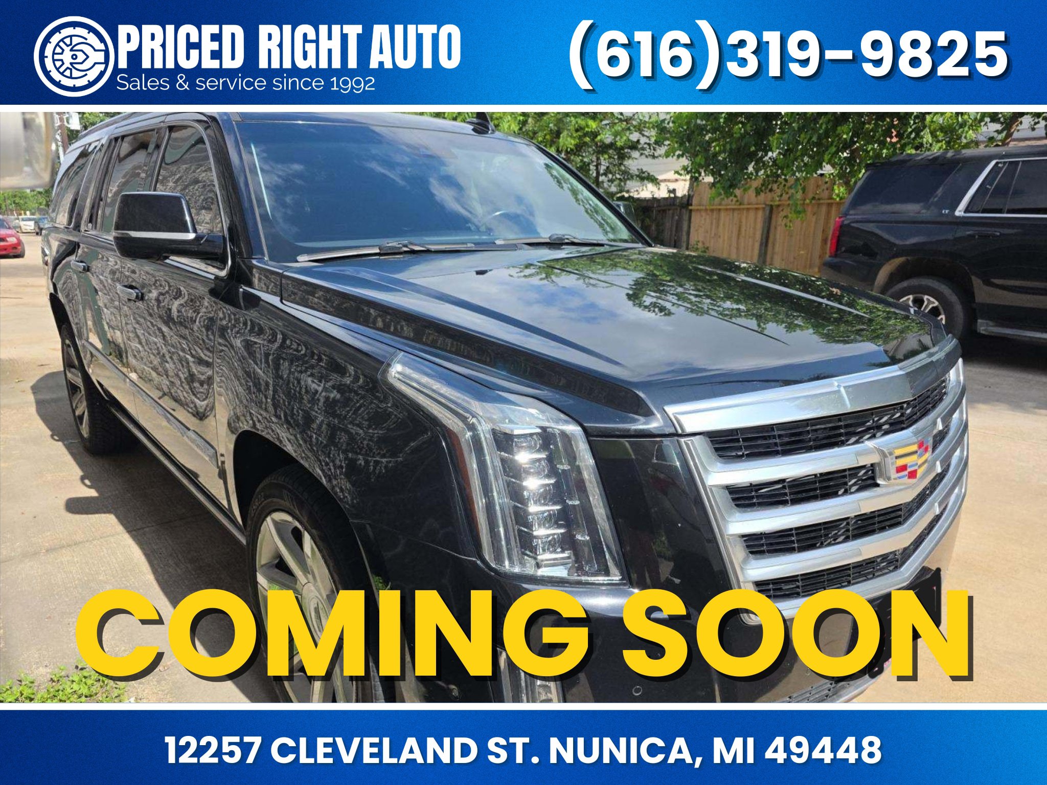 Used 2019 Cadillac Escalade ESV Premium Luxury AWD/4WD image 1