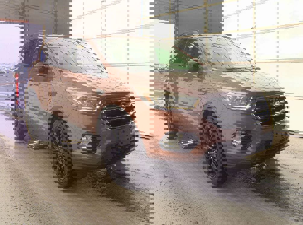 Used 2017 Ford Escape SE w/ Equipment Group 201A image 5