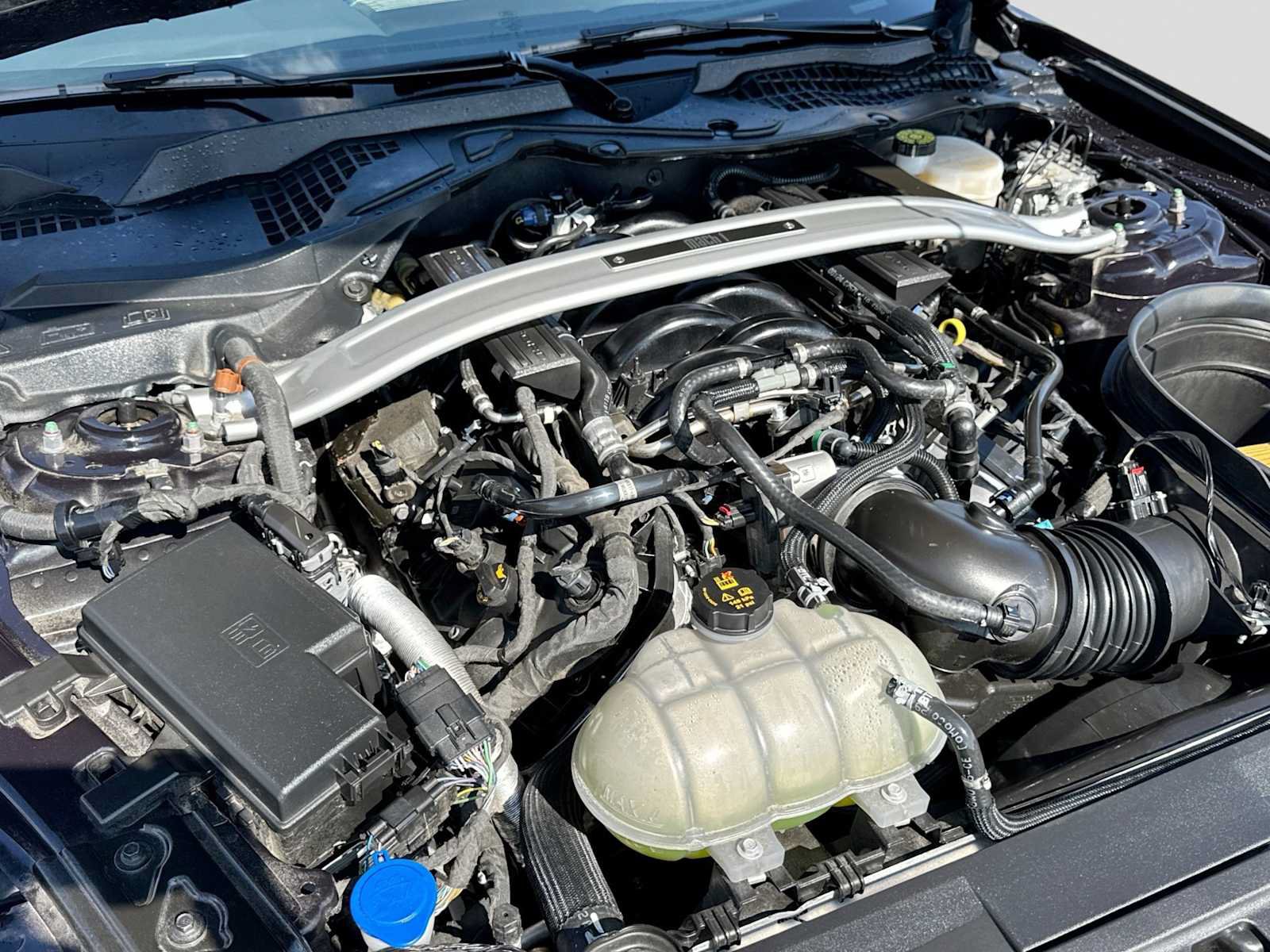 Used 2022 Ford Mustang Mach 1 RWD image 14