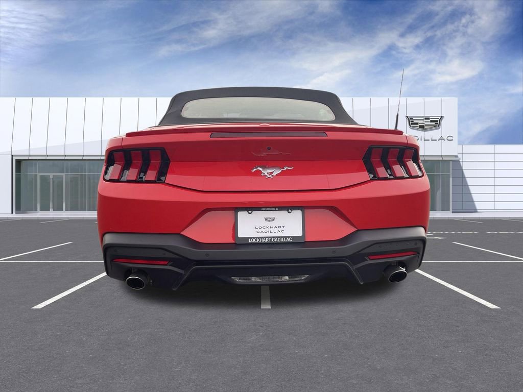 Used 2025 Ford Mustang Premium image 7