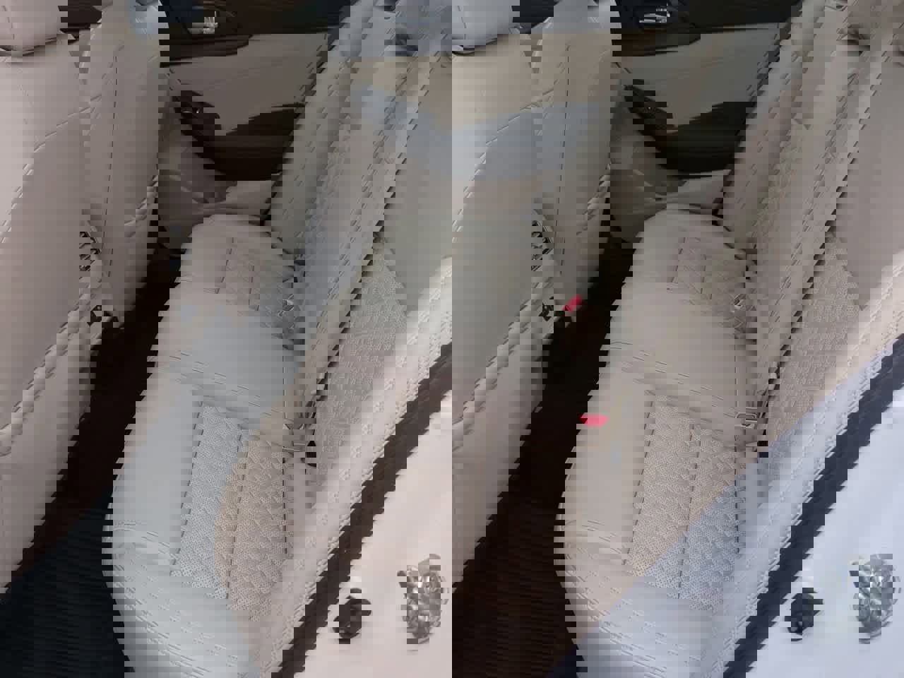 Used 2019 Nissan Maxima Platinum image 19