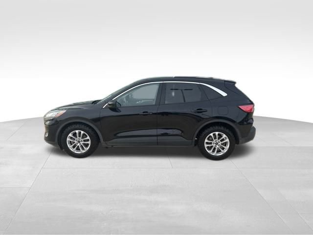 Used 2020 Ford Escape SE image 2