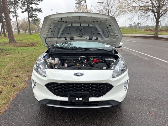 Used 2022 Ford Escape SEL image 20
