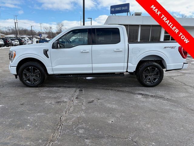 Used 2023 Ford F150 XLT w/ Equipment Group 302A High image 2