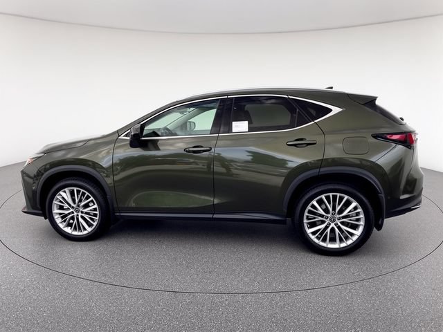 New 2026 Lexus NX 350 AWD w/ Accessory Package (Z2) image 2