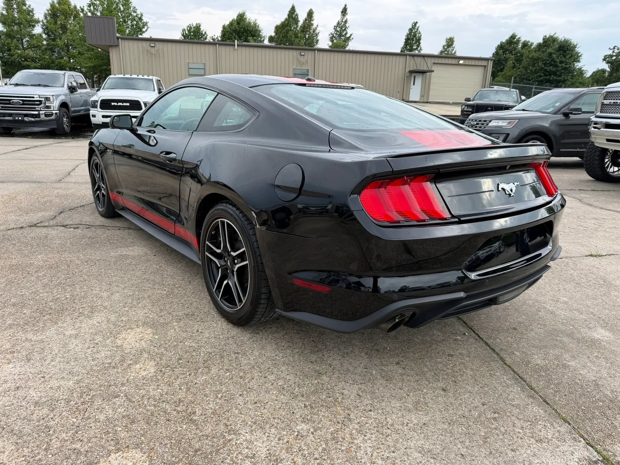 Used 2019 Ford Mustang Coupe w/ Equipment Group 101A RWD image 3