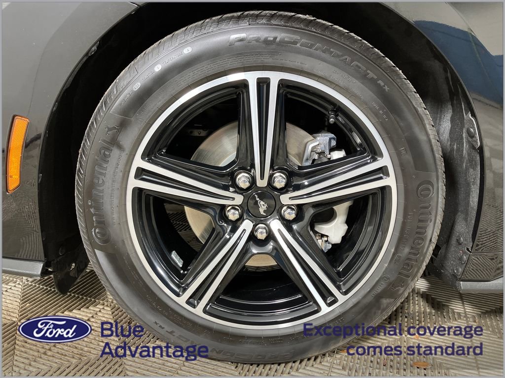 Certified 2025 Ford Mustang Premium image 13