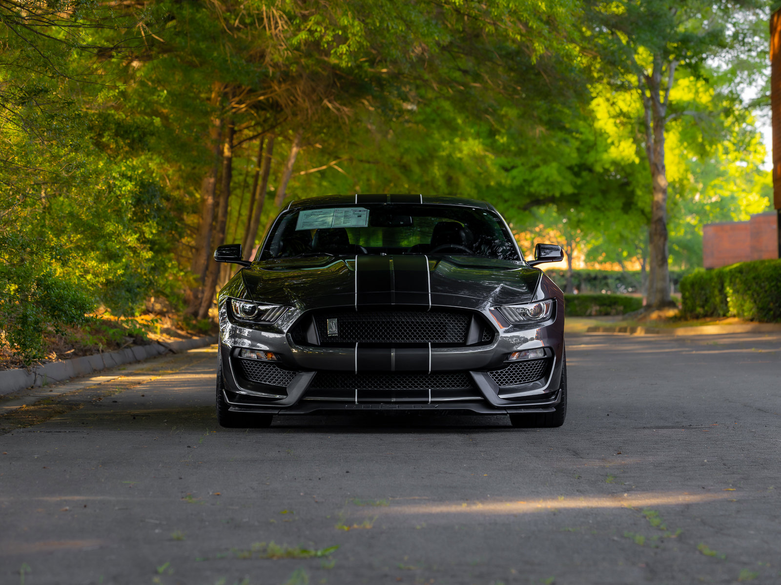 Used 2016 Ford Mustang Shelby GT350 w/ Technology Package RWD image 33