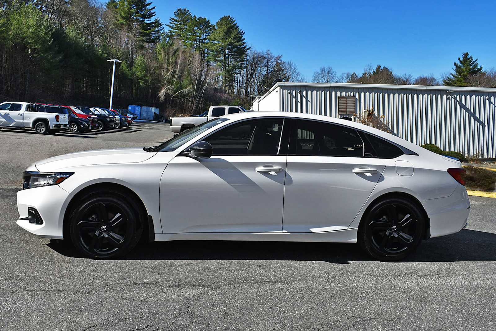 Used 2021 Honda Accord Sport Special Edition image 4