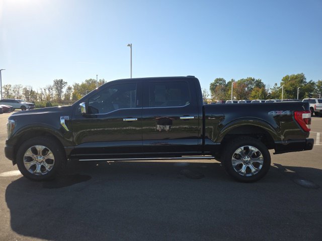 Used 2021 Ford F150 Platinum w/ Equipment Group 701A High AWD/4WD image 11