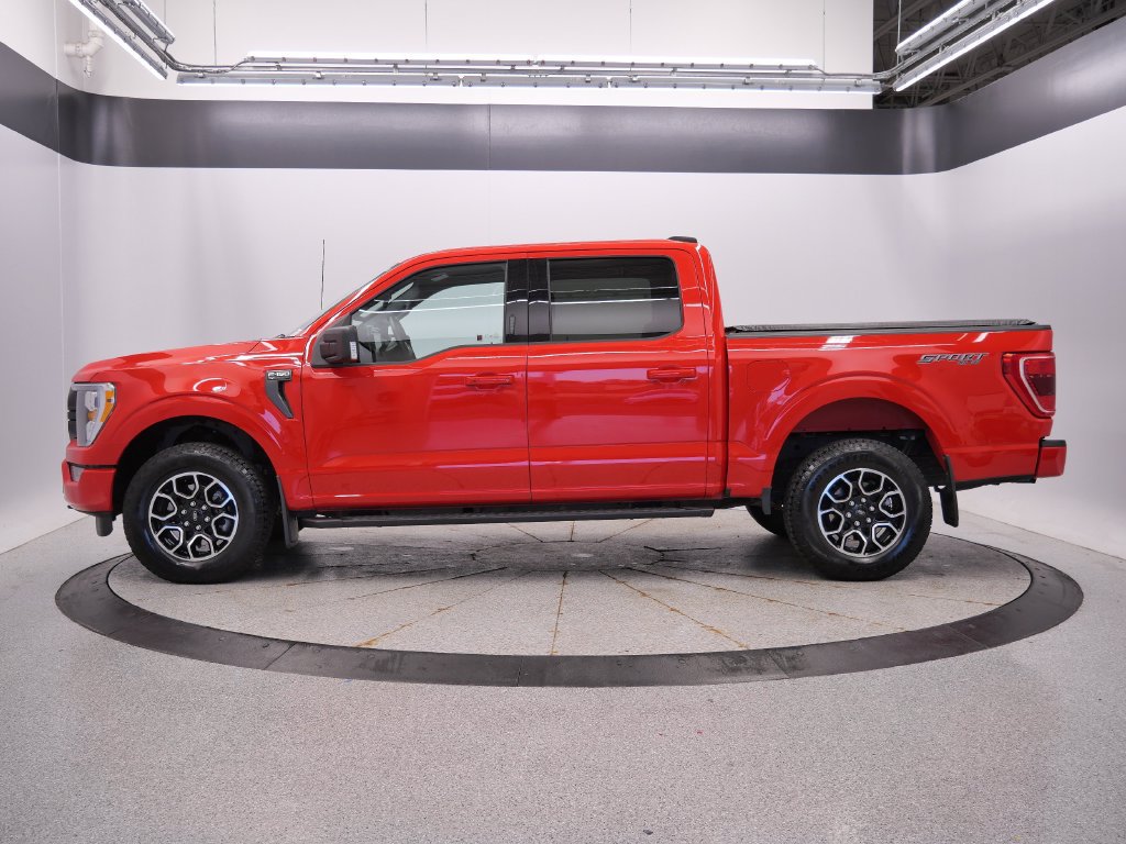 Used 2023 Ford F150 XLT w/ Equipment Group 302A High AWD/4WD image 2