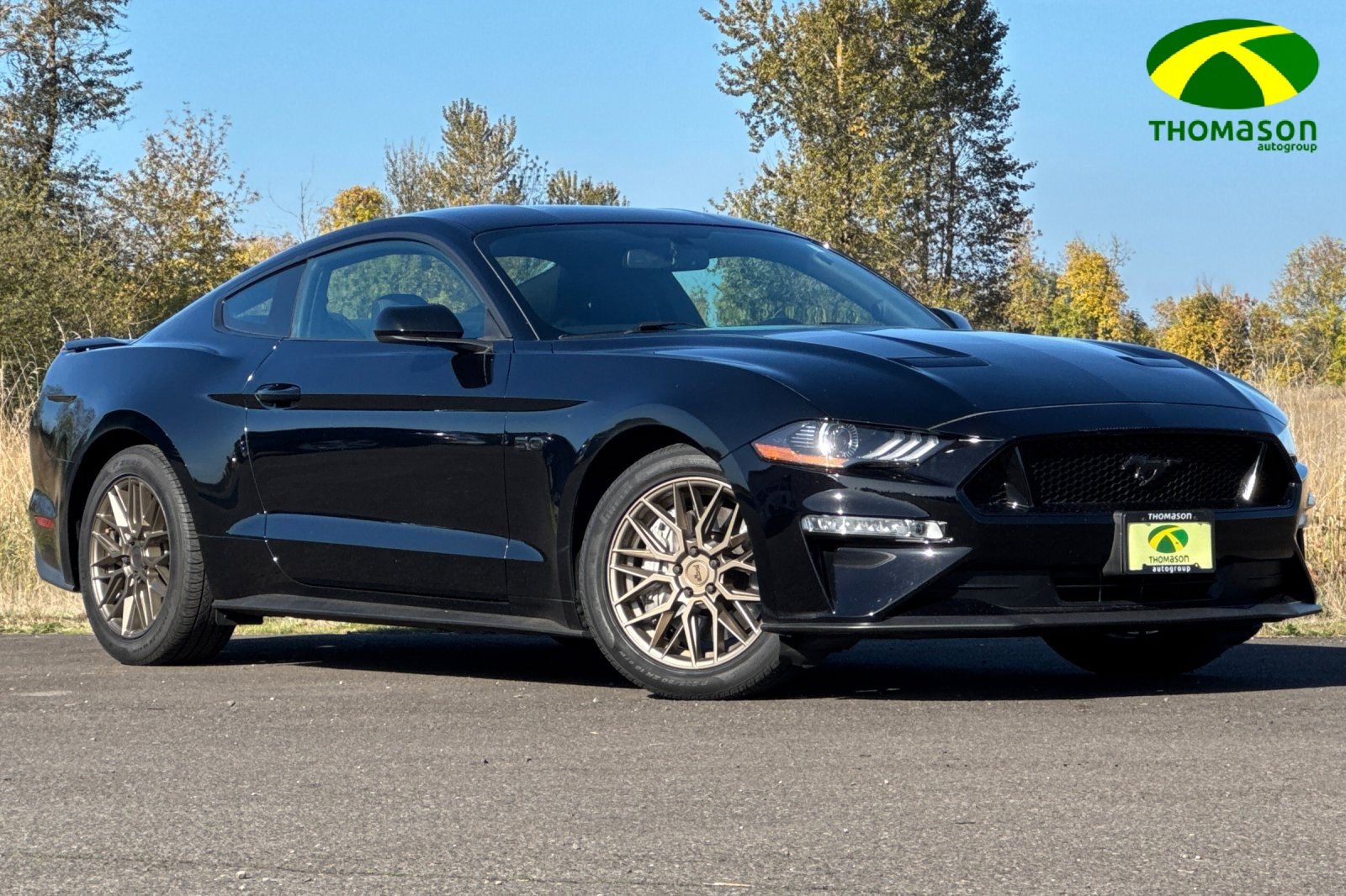 Used 2019 Ford Mustang GT