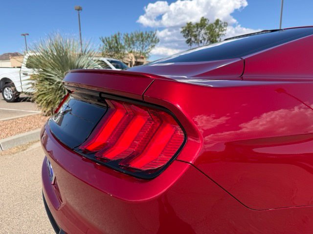 Certified 2019 Ford Mustang Coupe w/ Equipment Group 101A RWD image 6