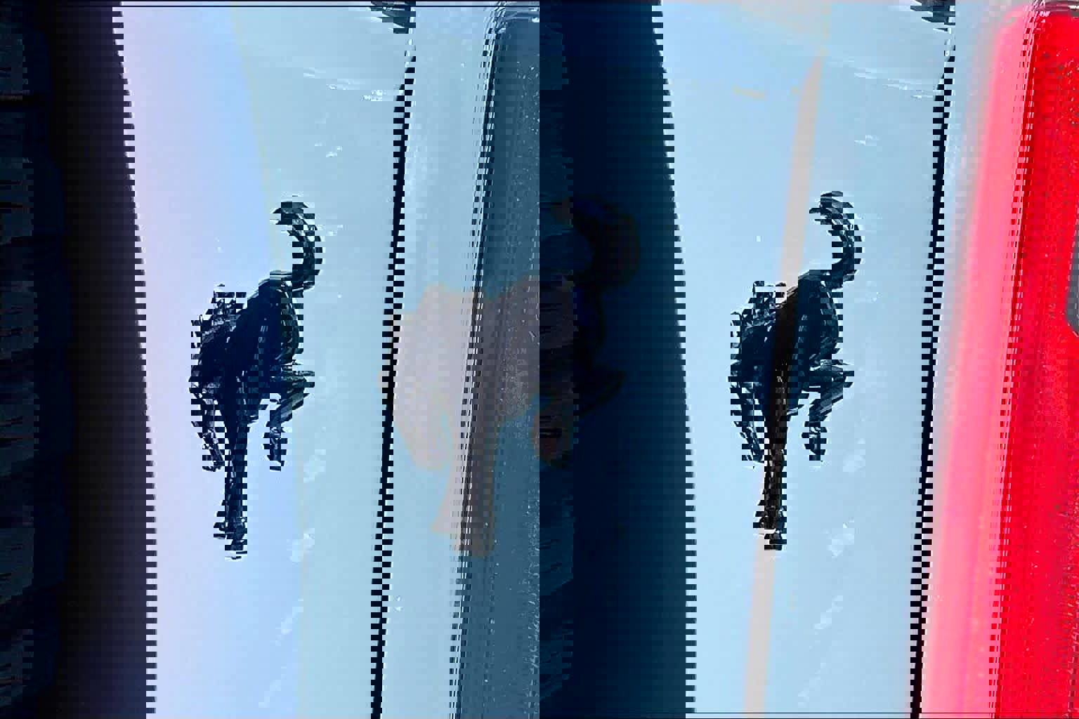 Used 2022 Ford Bronco Wildtrak image 10