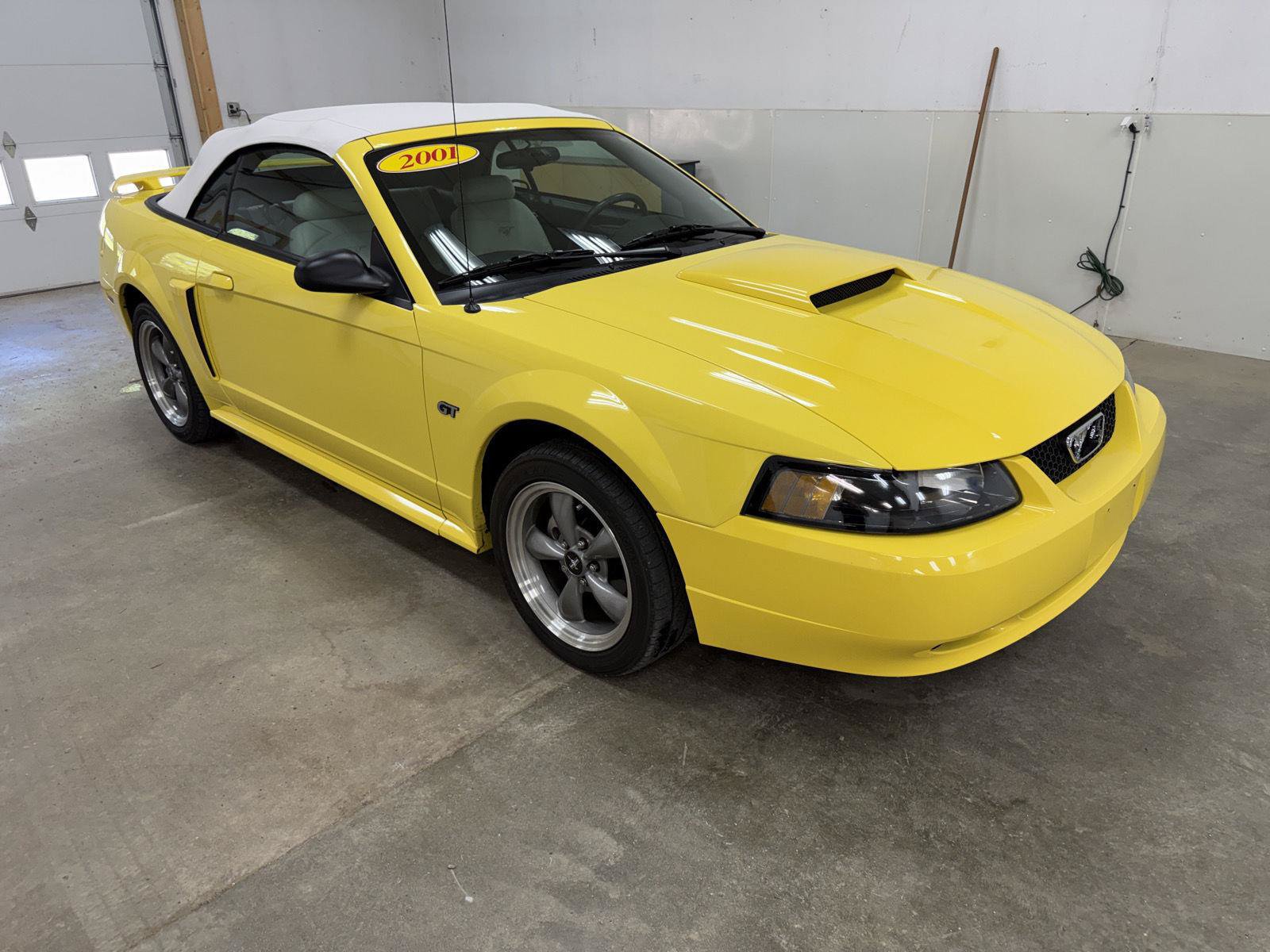 Used 2001 Ford Mustang GT Premium RWD image 2