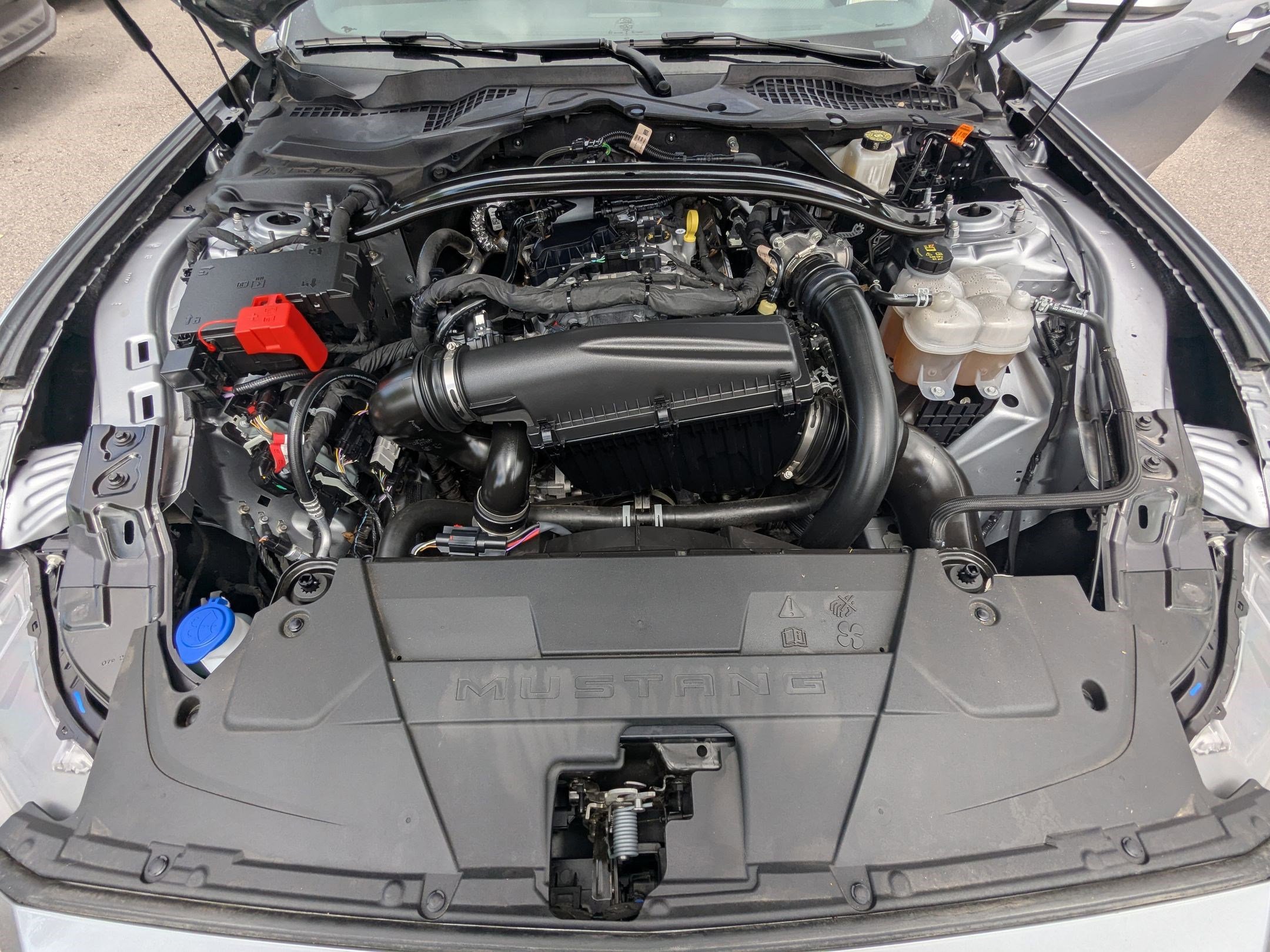 Certified 2025 Ford Mustang Premium RWD image 36