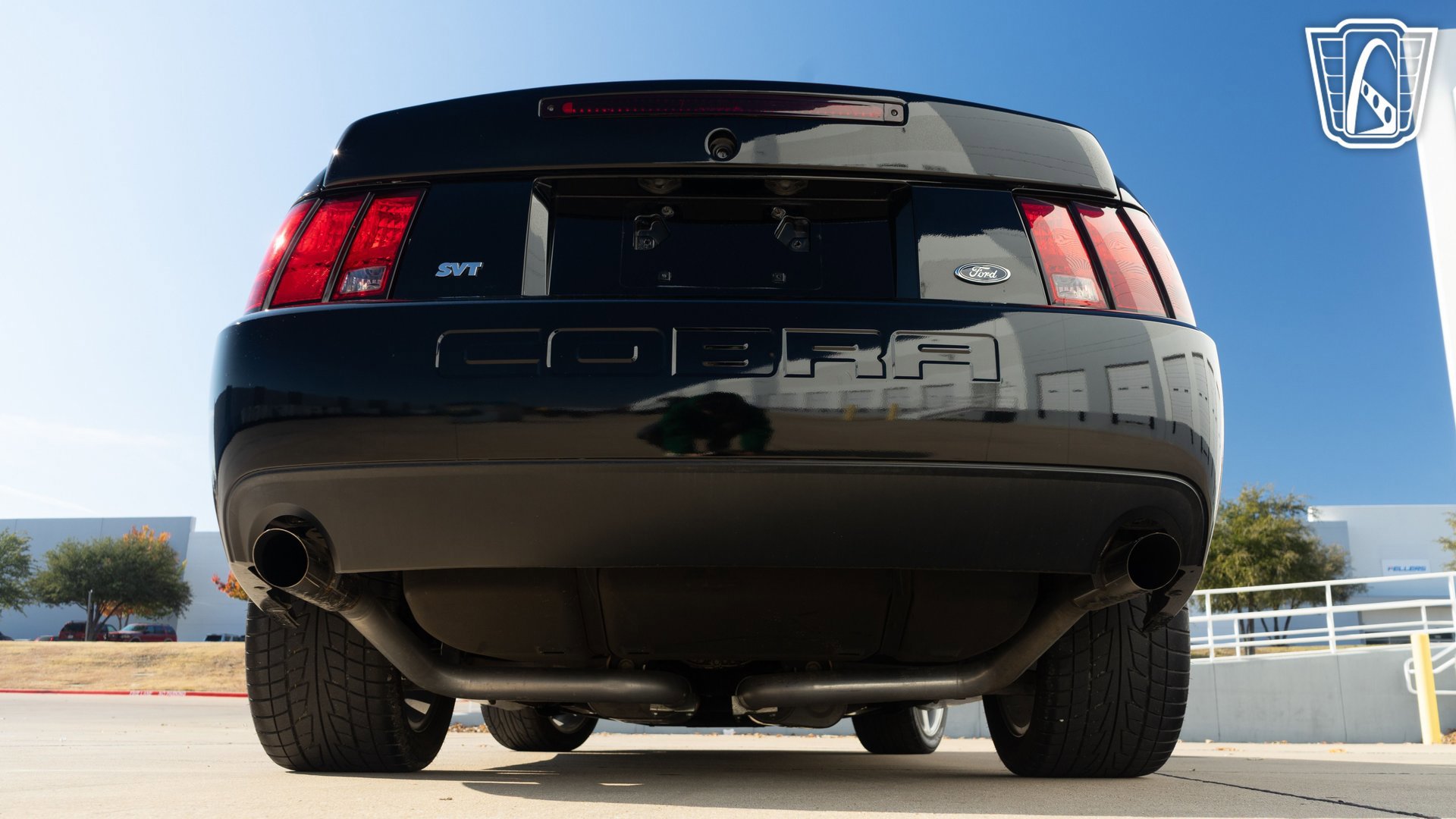 Used 2003 Ford Mustang Cobra image 13