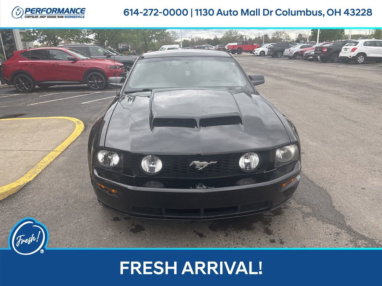 Used 2007 Ford Mustang GT Premium image 9