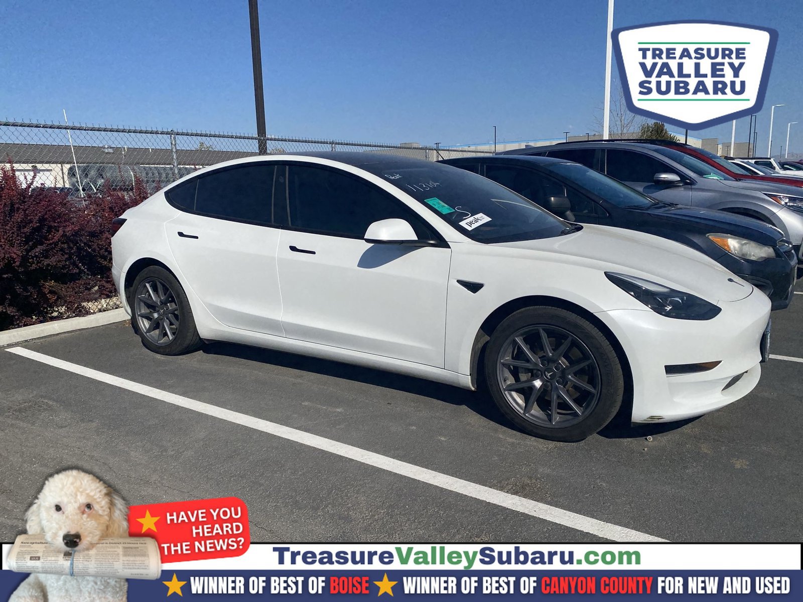 Used 2023 Tesla Model 3 Standard Range RWD image 1