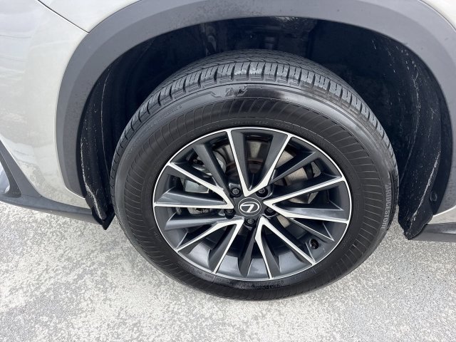 Certified 2024 Lexus NX 250 FWD w/ Cold Area Package image 10
