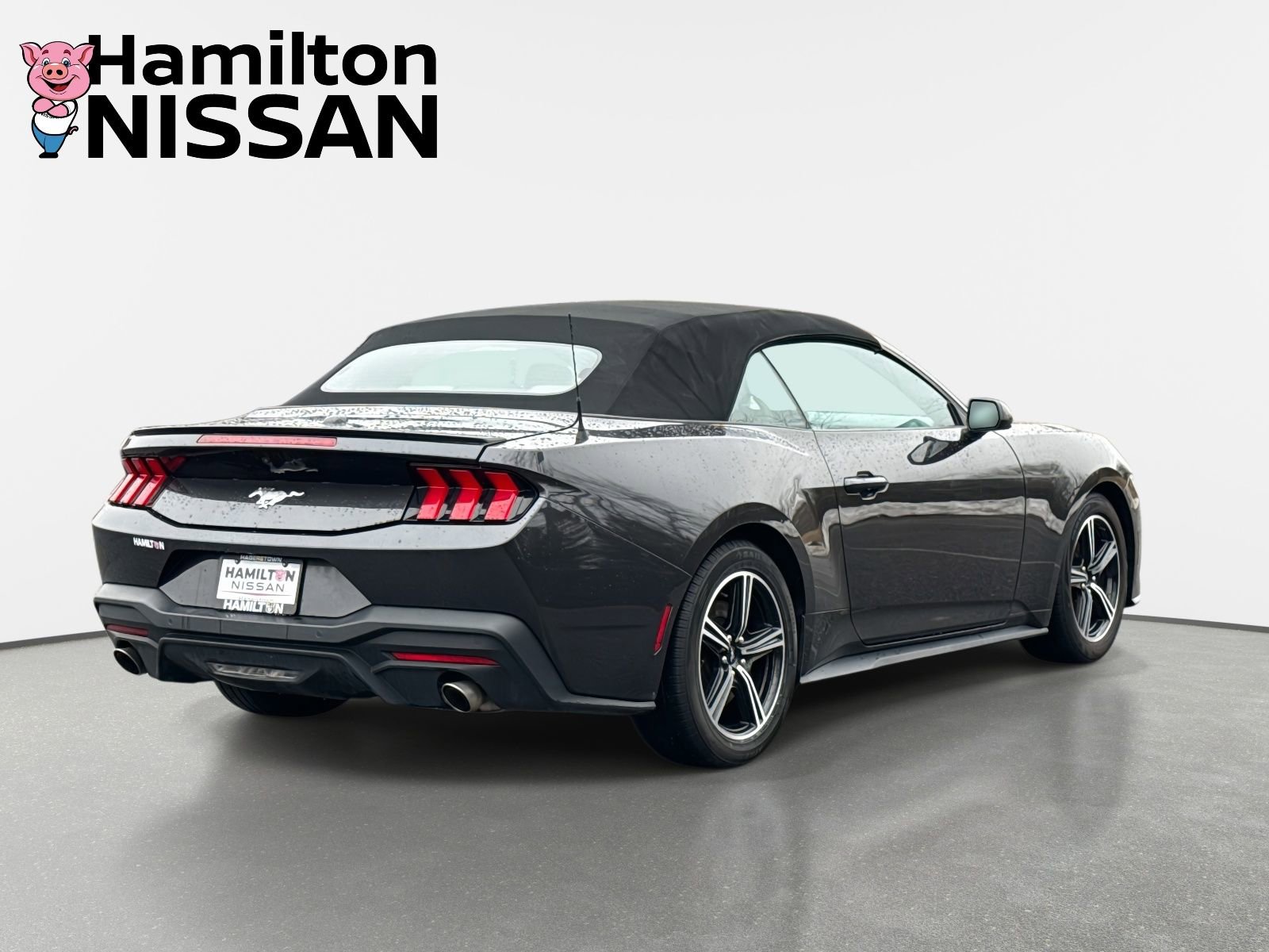 Used 2024 Ford Mustang Premium image 2