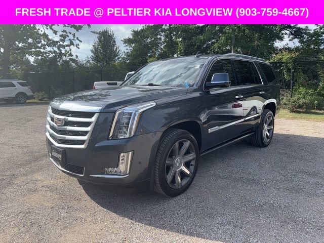 Used 2019 Cadillac Escalade Premium Luxury RWD image 1