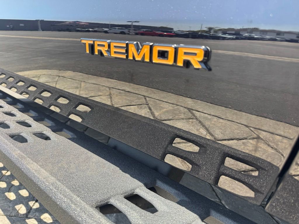 Used 2025 Ford Expedition Tremor AWD/4WD image 5
