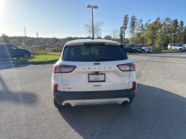 Used 2020 Ford Escape SE image 4