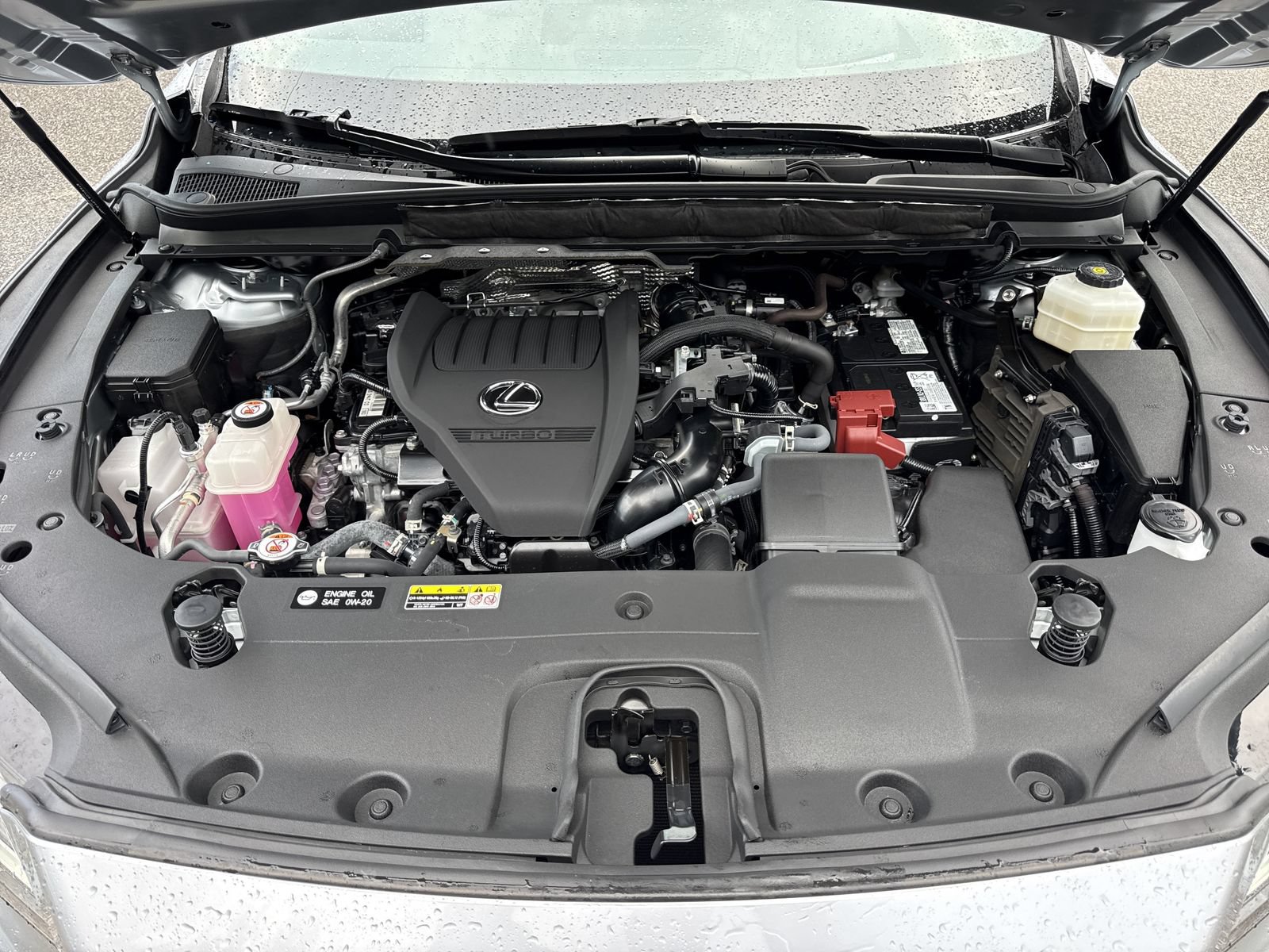 Used 2024 Lexus RX 350 Premium Plus w/ Convenience Package FWD image 36