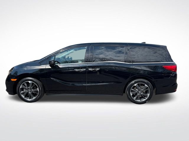 Used 2024 Honda Odyssey Elite image 2
