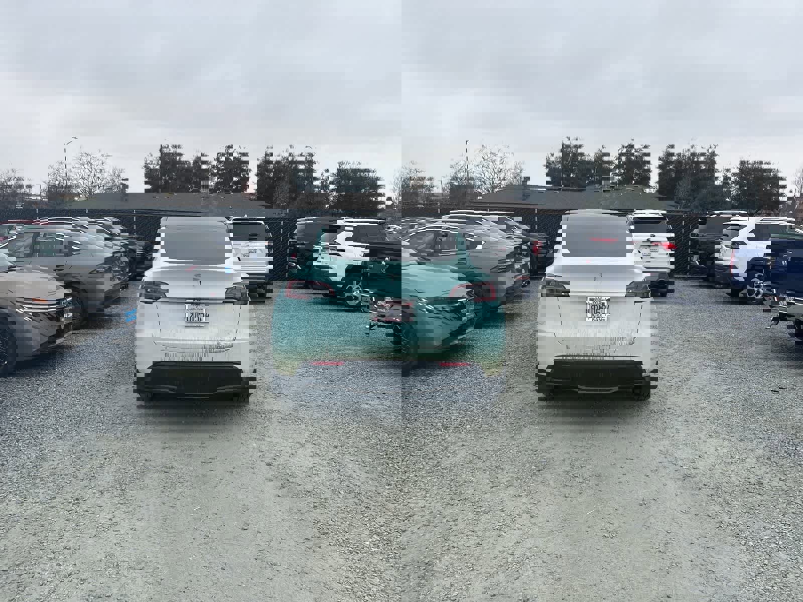 Used 2023 Tesla Model Y Long Range image 7