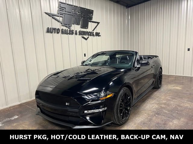 Used 2019 Ford Mustang Premium w/ Equipment Group 201A