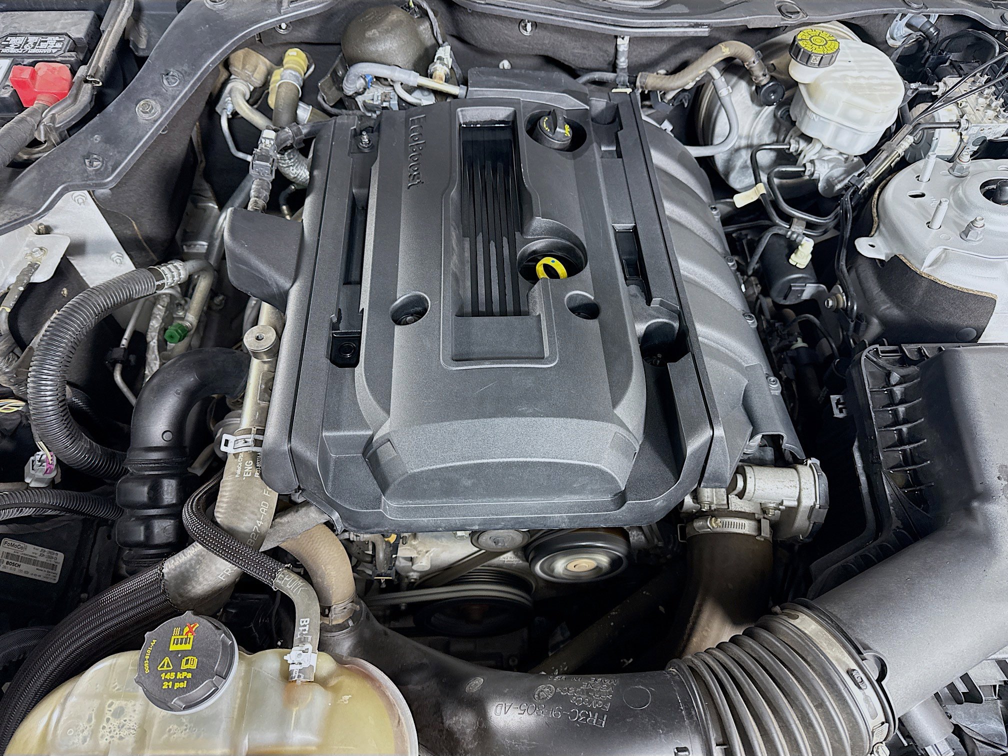 Used 2018 Ford Mustang Coupe w/ Equipment Group 101A image 37