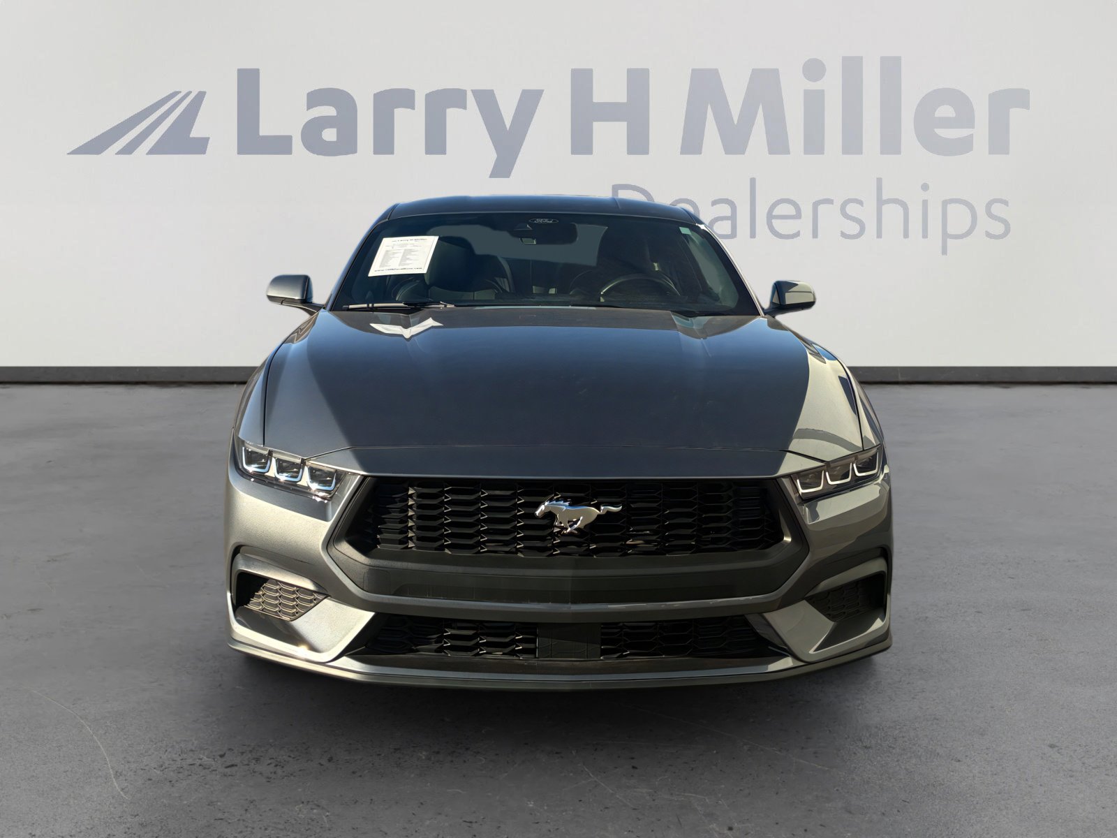 Used 2025 Ford Mustang EcoBoost image 8