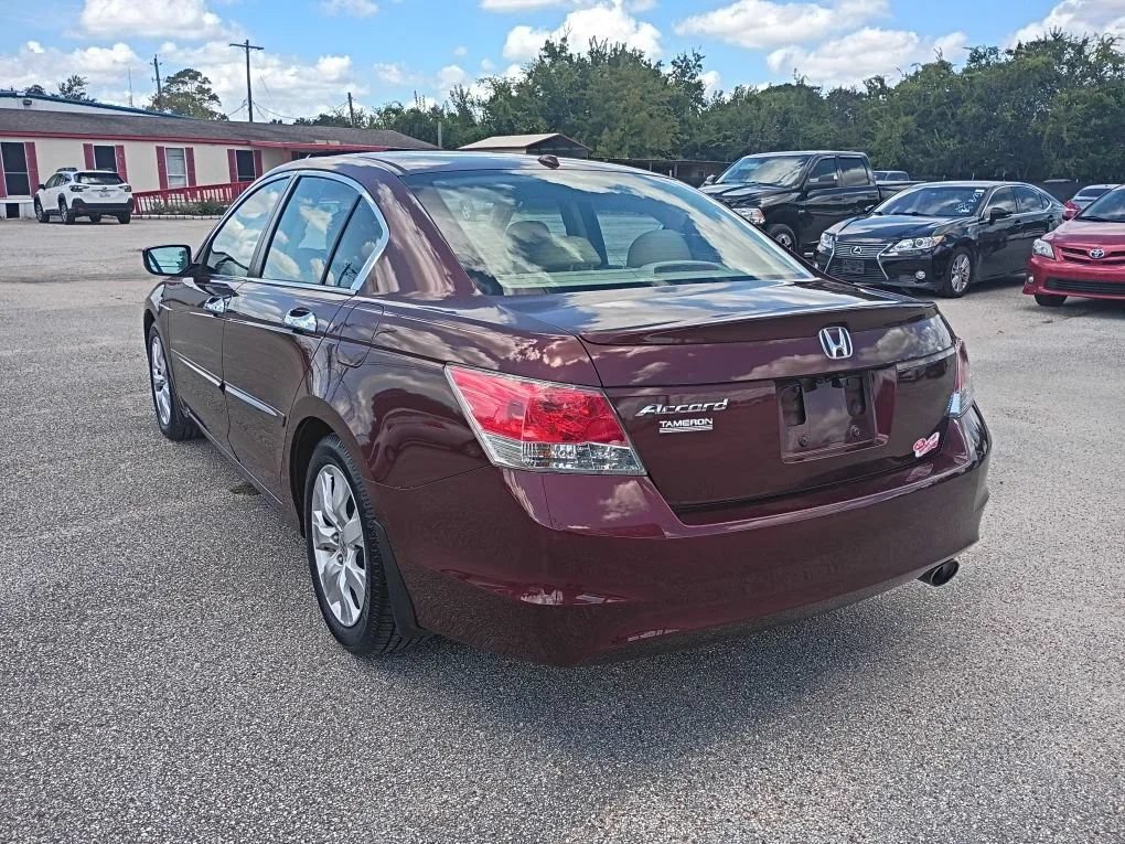 Used 2010 Honda Accord EX-L image 3