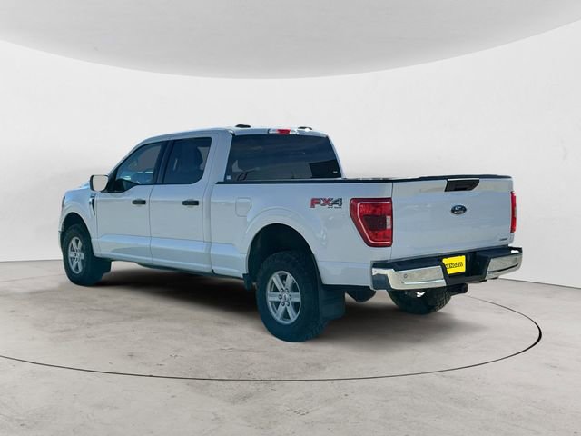 Used 2023 Ford F150 XLT w/ Equipment Group 301A Mid image 3