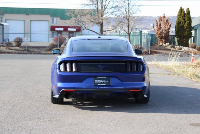 Used 2015 Ford Mustang Premium w/ Equipment Group 201A image 5