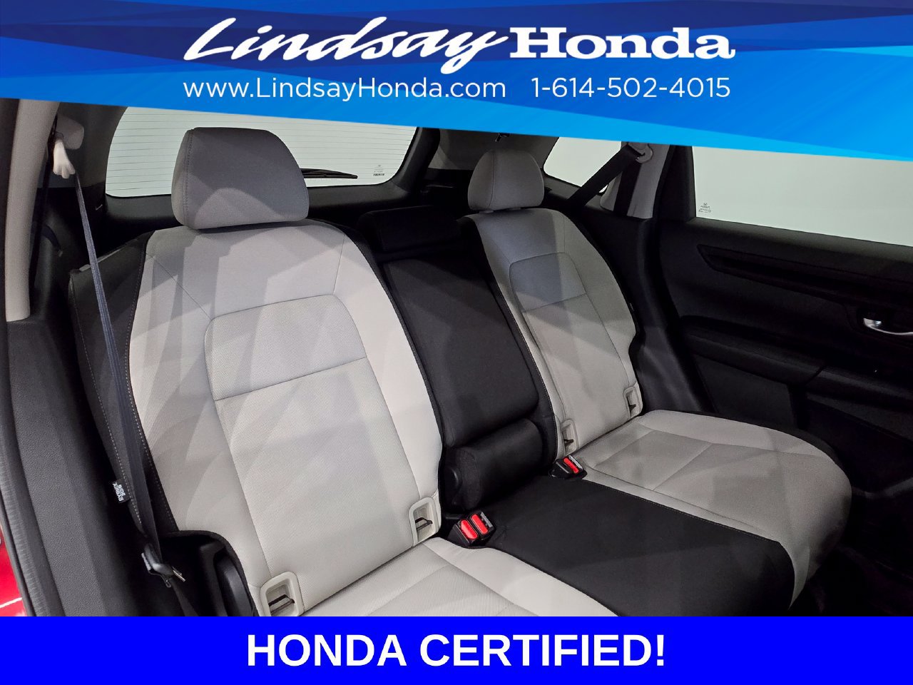 Certified 2024 Honda CR-V EX image 9