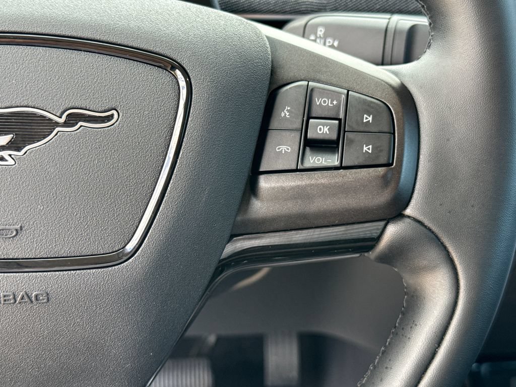 Used 2025 Ford Mustang Mach-E Premium RWD image 17
