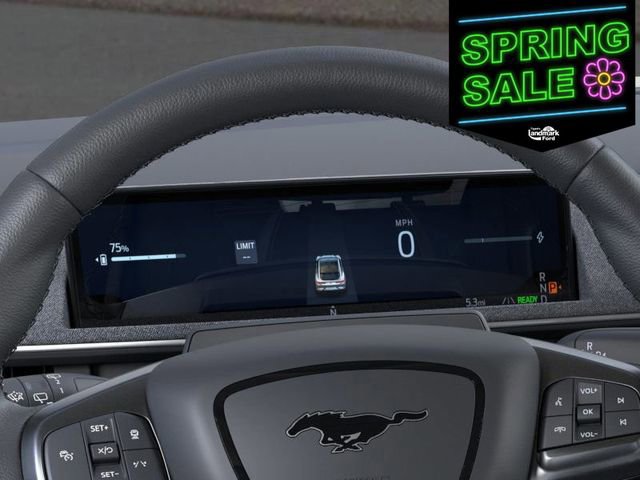 New 2025 Ford Mustang Mach-E Premium w/ Interior Protection Package image 13