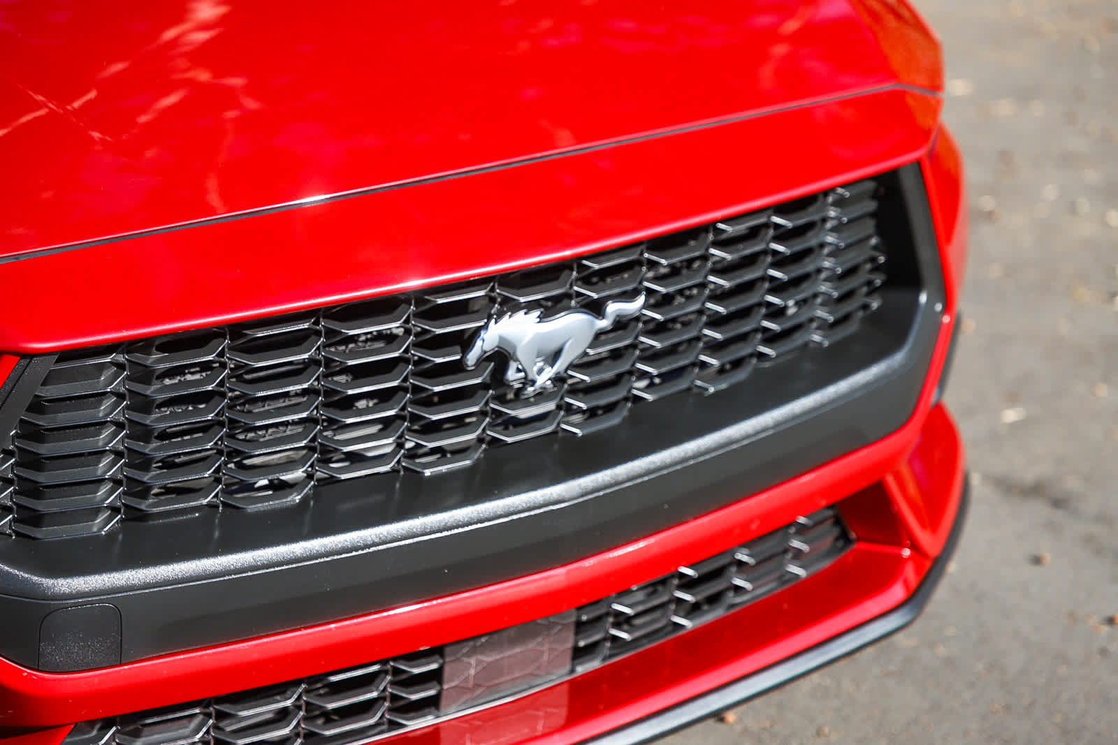 Used 2024 Ford Mustang Coupe RWD image 5