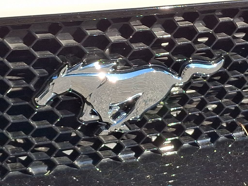 Used 2020 Ford Mustang GT w/ Ford Safe & Smart Package RWD image 30