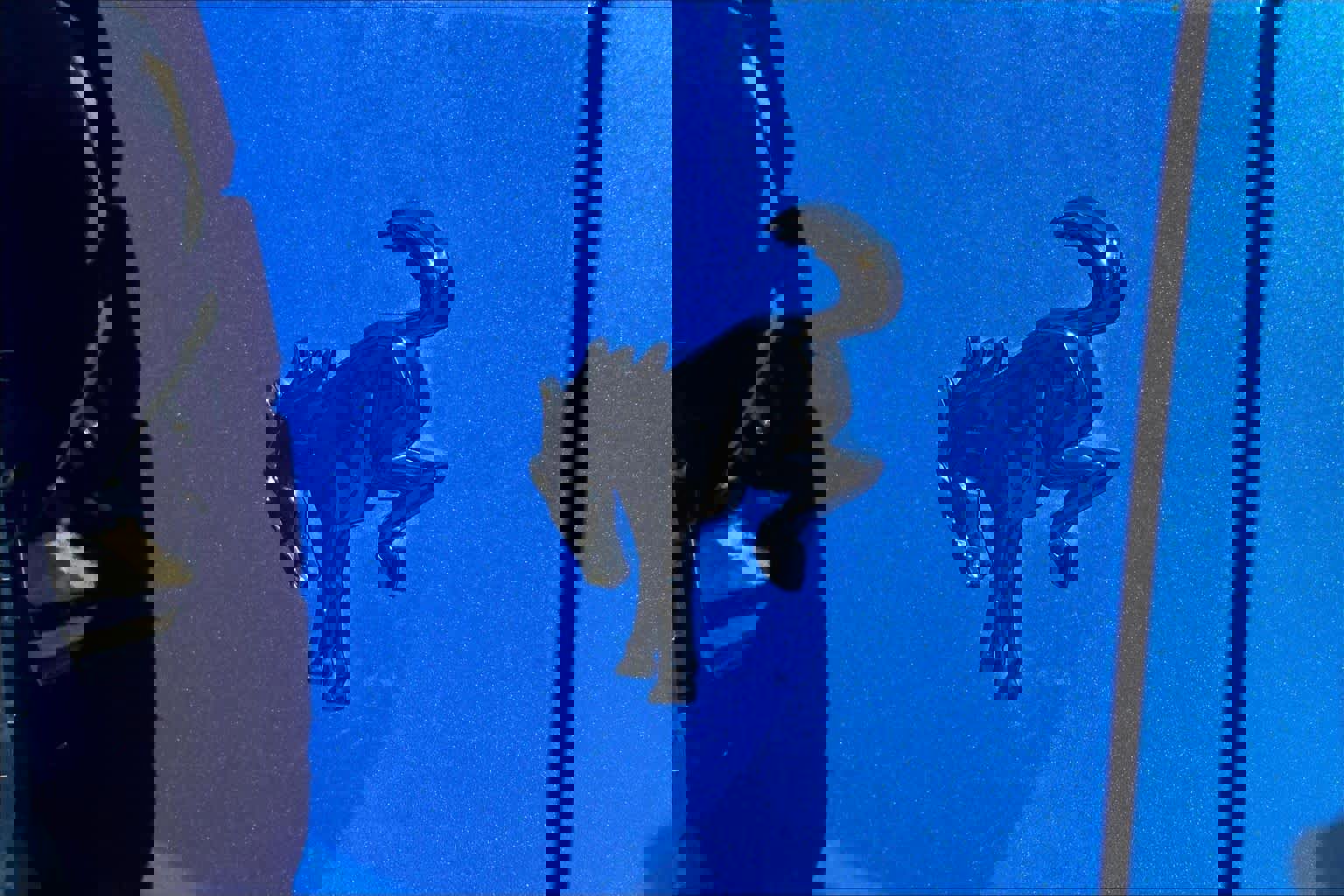 Used 2021 Ford Bronco First Edition image 18