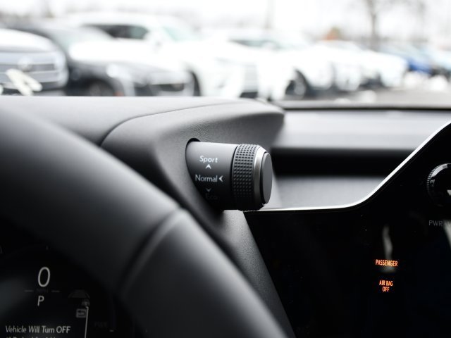 New 2025 Lexus UX 300h AWD image 14