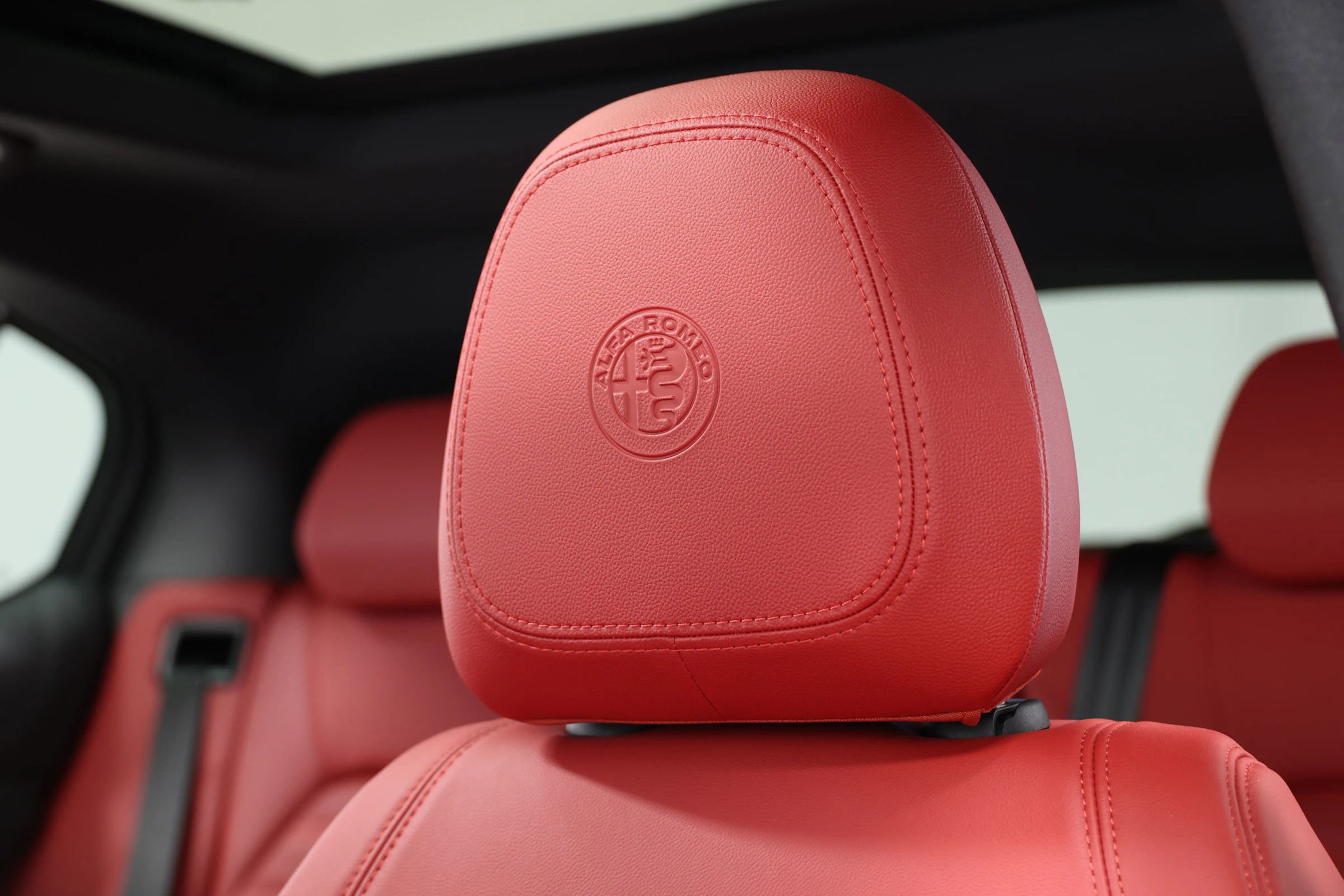 Used 2024 Alfa Romeo Stelvio Quadrifoglio image 19