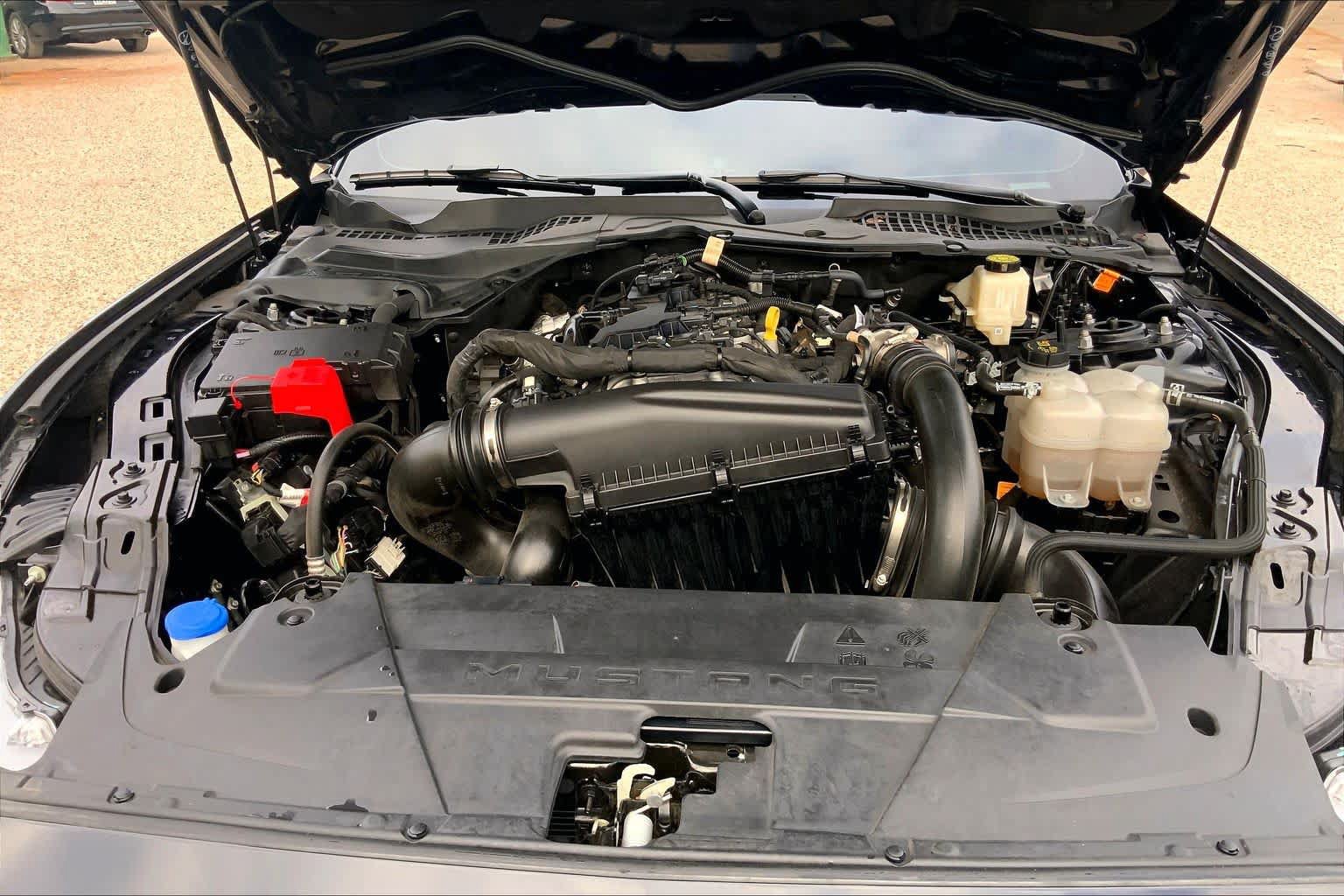 Used 2025 Ford Mustang Coupe RWD image 30