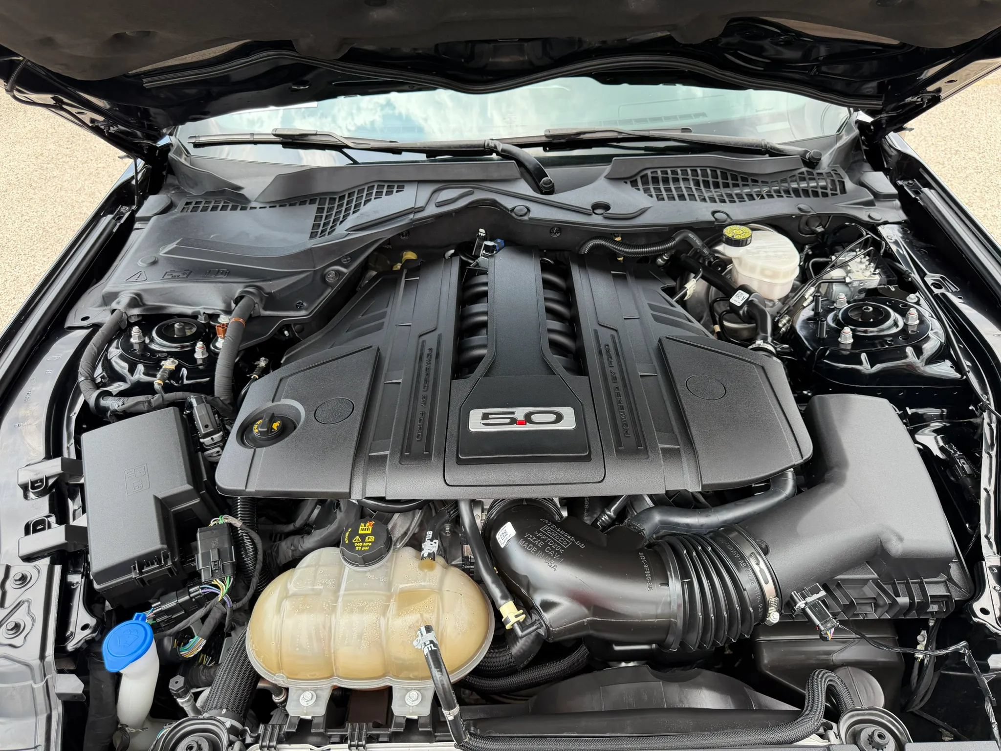 Used 2023 Ford Mustang GT w/ Equipment Group 301A RWD image 37