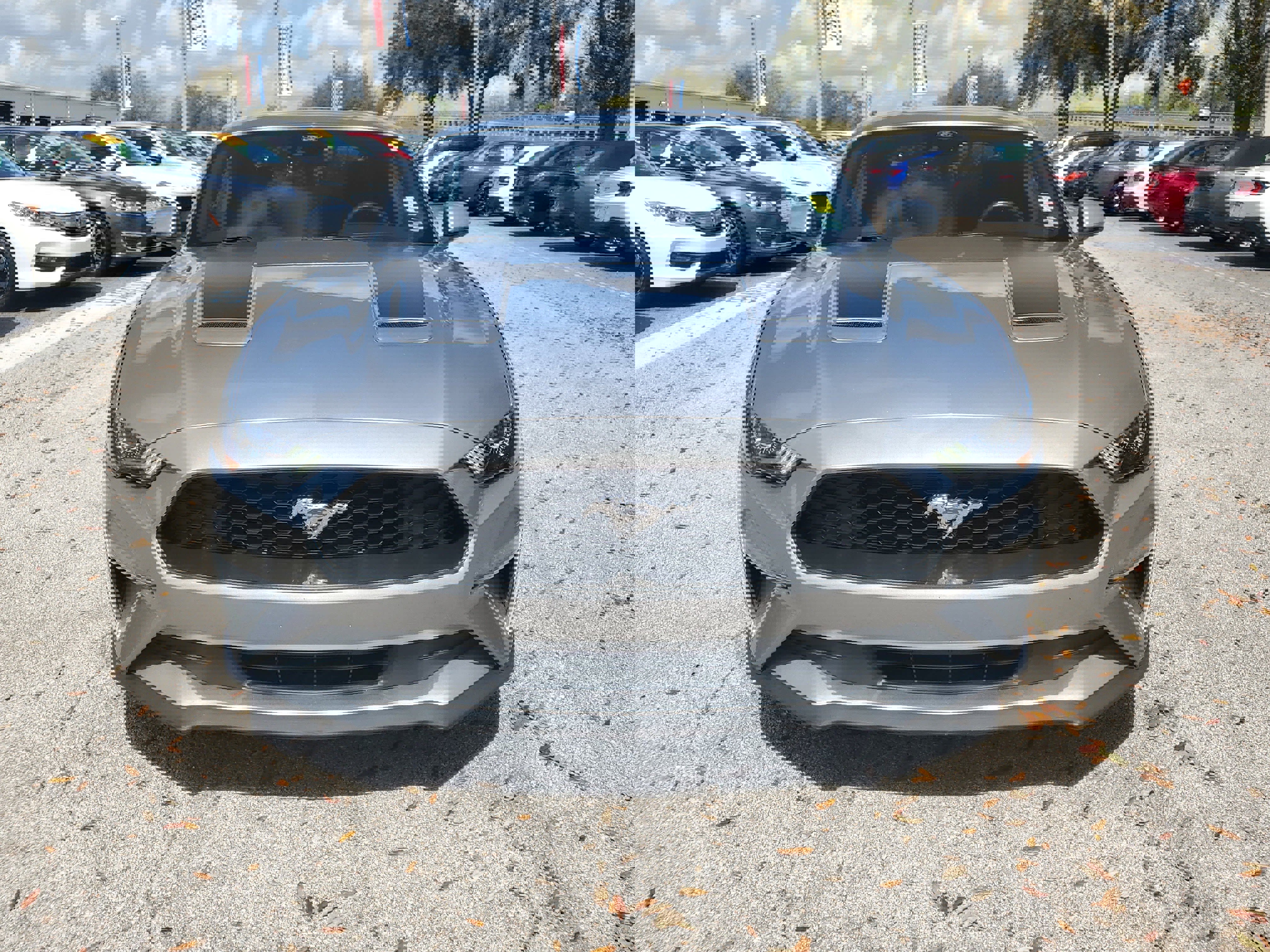 Certified 2021 Ford Mustang Coupe image 2